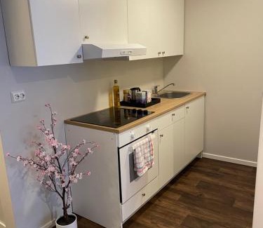 Stavanger Apartment | Central Studio Apartment
