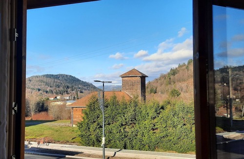 Saint-Maurice-sur-Moselle Ski Chalet | Chalet GRIZZLY at the foot of Ballon d'Alsace pets welcome