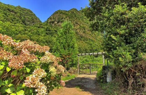 Sao Vicente Ski Chalet | Chale Jardim De Cima