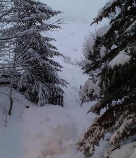 Orcieres-Merlette Ski Chalet | chalet à Orcieres merlette pour 10