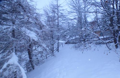 Orcieres-Merlette Ski Chalet | chalet à Orcieres merlette pour 10