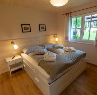 Bad Goisern Ski Chalet | Chalet 164