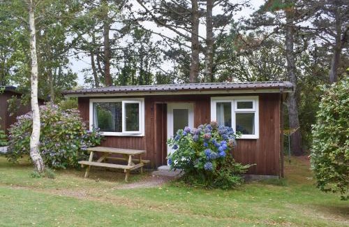 Mount Hawke House | Chalet 2 - Uk12562