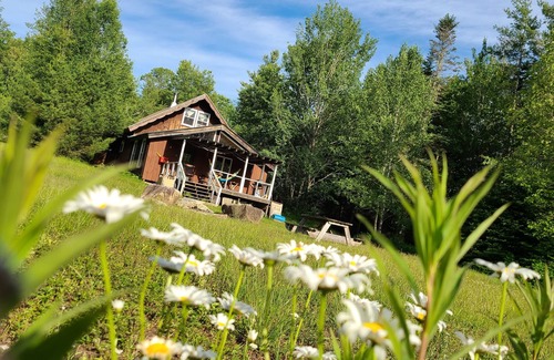 Jamaica Ski Chalet | Chalet 7 minutes to Ski Stratton, Woodstove, Starry Skies, FirePit, View, DogsOK