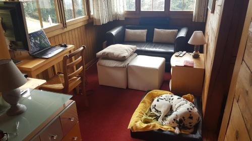 Corbeyrier House | Chalet "Aisha-Les Chevreuils"