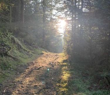 Liezey Ski Chalet | Chalet avec vue panoramique