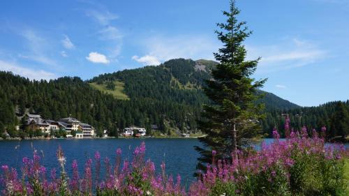 Turracher Hohe House | Chalet Bergliebe Turrach
