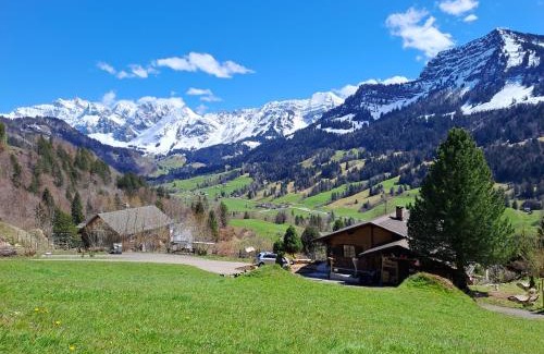 Nesslau-Krummenau Apartment | Chalet Chnorz Hosted Lodge