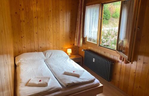 Bettmeralp Apartment | Chalet Diana - Spacious flat - Village core - South facing - Ski-in/Ski-out
