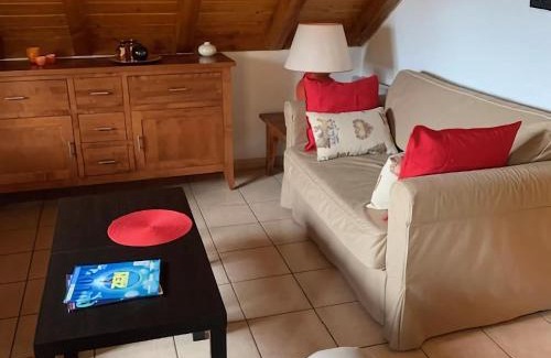 Oz Ski Chalet | Chalet in Alpe d Huez near Ski Lift