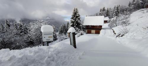 Saint-Pierre-d'Entremont Ski Chalet | Chalet l'Alpe