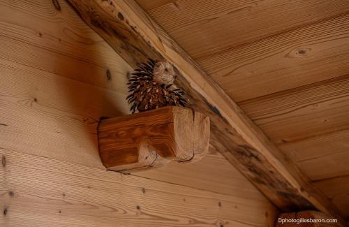 Orcieres-Merlette Apartment | Chalet la Forestière