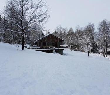 Buellingen Ski Chalet | Chalet Le Forestier