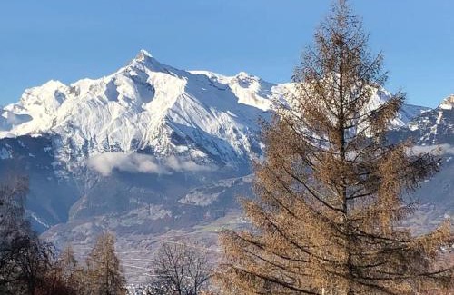 Agettes Ski Chalet | Chalet Rossier Mayens de Sion aux 4 Vallées