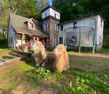 Svoboda nad Upou House | Chalupa u velbloudů Krkonoše