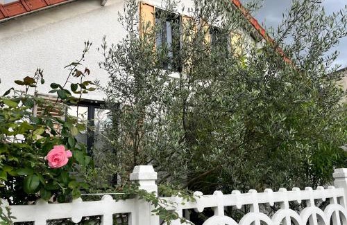 Champignol Bed & Breakfast | Chambre d hôte - Bambou