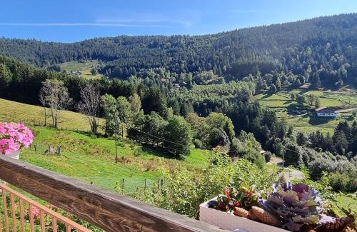 Ventron Bed & Breakfast | Chambres d'hôtes à la montagne, animaux acceptés - FR-1-589-735