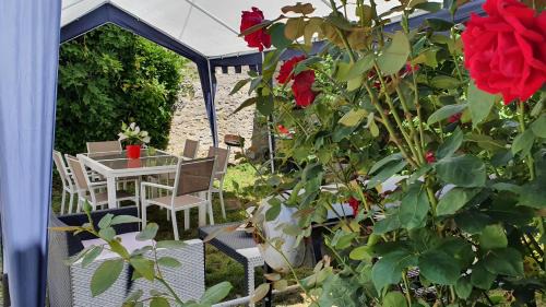 La Cave Bed & Breakfast | Chambres D'hôtes Le Petit Puits