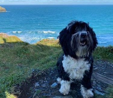 Tintagel House | Characterful cottage near Tintagel and coast path