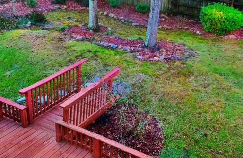 Charlotte House | Charlotte Hideaway, 5 minutes from Concord Mills Mall! A retreat away from home.