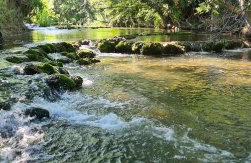 Villefagnan House | Charmant gîte à Villefagnan, équipements bébé, animaux acceptés - FR-1-653-47