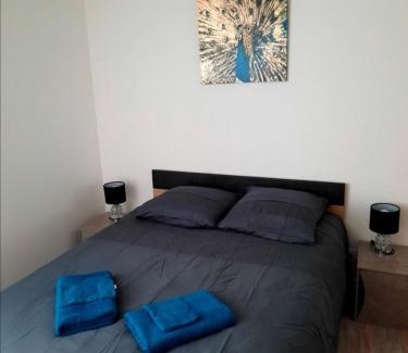 Gerardmer Apartment | Charmant logis en duplex