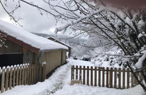 Saint-Priest-la-Prugne Apartment | Charmant studio en pleine nature, animaux admis - FR-1-496-224