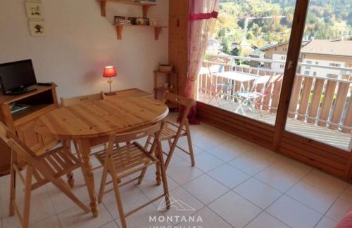 Saint-Jean-de-Sixt Apartment | Charmant studio avec cabine - 4 pers - St Jean de Sixt - FR-1-458-223