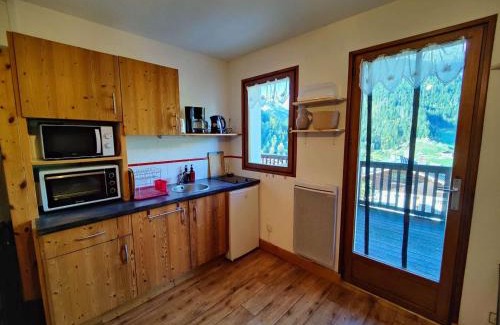 Beaufort Apartment | Charmant studio 19m², idéal 3 pers, avec terrasse et parking, proche commerces et navette ski - FR-1-342-307