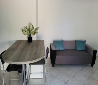 Tremblay-en-France Apartment | charmant studio de 30 m2 très calme avec sa grande belle terrasse et son jardin PRIVATIF