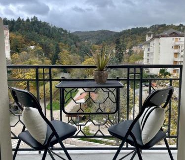 Chatel-Guyon Apartment | Charmant studio, séjour paisible