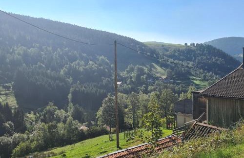 Ventron Bed & Breakfast | Charmantes chambres d'hôtes en montagne, animaux admis sur accord - FR-1-589-729