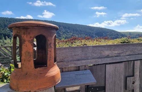 Ventron Bed & Breakfast | Charmantes chambres d'hôtes en montagne, animaux admis sur accord - FR-1-589-729