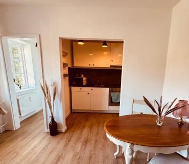Flensburg Apartment | Charmantes Einzimmer-Apartment in zentraler Lage