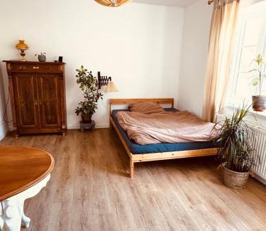 Flensburg Apartment | Charmantes Einzimmer-Apartment in zentraler Lage