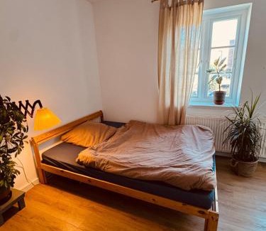 Flensburg Apartment | Charmantes Einzimmer-Apartment in zentraler Lage