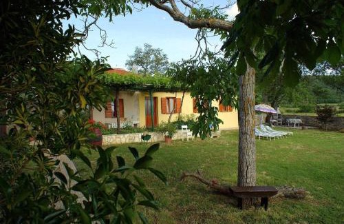 Salakovci House | Charmantes Ferienhaus In Bartići Mit Terrasse