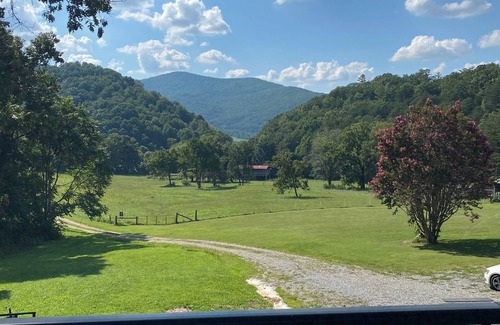 Greeneville Apartment | Charming 1-bedroom apartment in the entrance to the National Cherokee Park