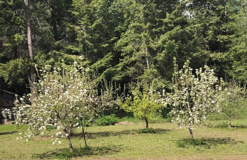 Elk House | Charming 3-bedroom house with WiFi, AC in peaceful Elk