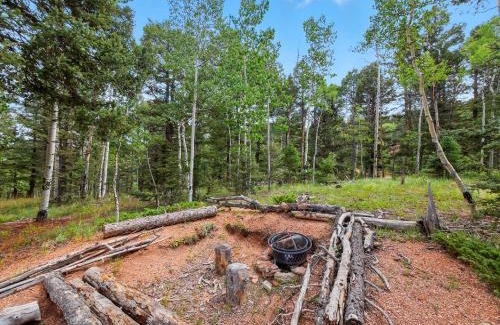 Divide House | Charming Cabin with Scenic Views near UC Health cabin