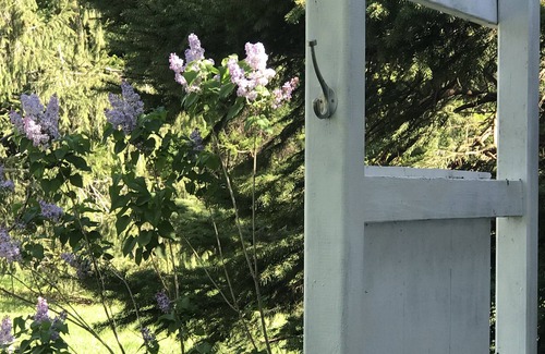 Bozman Cottage | Charming cottage along water with private pier, near St. Michaels Winery
