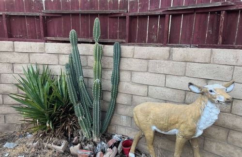 Palmdale House | Charming Getaway: Cozy Comfort & Modern Amenities in a Prime Location