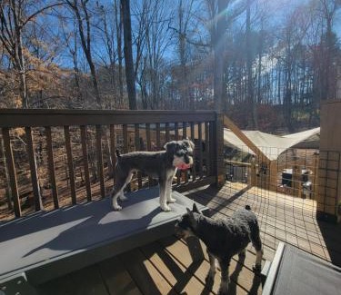 Athens Apartment | Charming Hideaway 1 BR APT 10 min to UGA