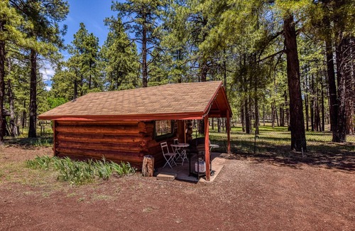 Parks Cabin | Charming & Historical 1 Room Log Cabin / Forest Views/ 20 minutes from Flagstaff