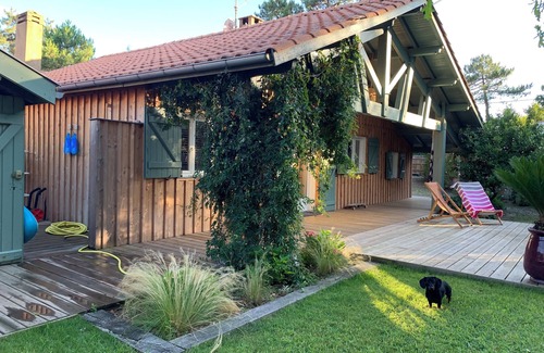 Lege-Cap-Ferret House | Charming house 500m from the beach "la Pointe aux Chevaux"
