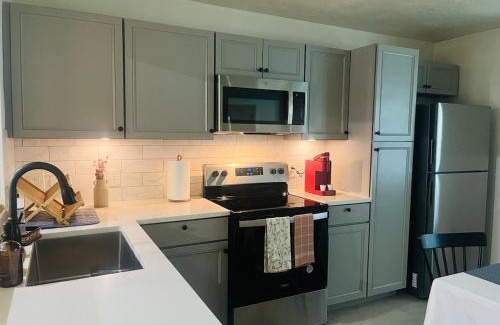 Spring House | Charming House18 min IAH-TheWoodlands