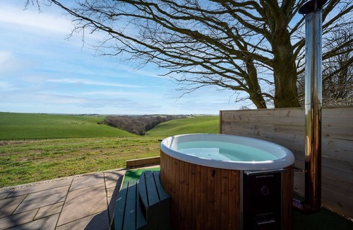 Stoke Rivers Cabin | Charming quirky couple and dog friendly countryside bolt hole, with private hot tub and communal gam