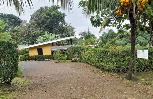 Ciudad Cortes Cottage | Charming, very private 2-bedroom casita in Ojochal with WiFi and solar.