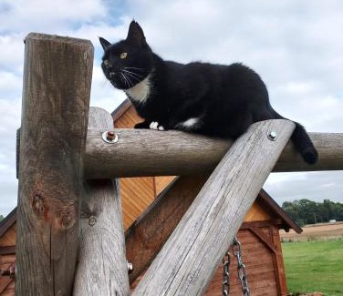 Radkow House | Chata Otulina Radków - komfortowa chata z widokiem w Górach Stołowych