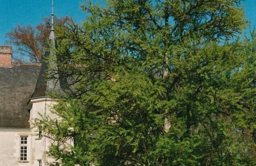 Artannes-sur-Indre House | Château des Archevêques in the heart of a village